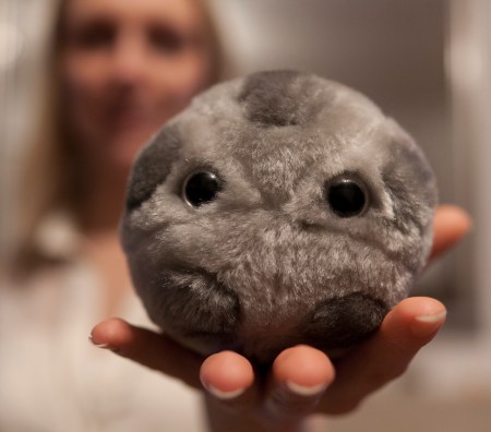 An image showing the HPV virus, Giant Microbe style.