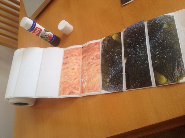 Cut out the mucosa and glue them onto sticky labels